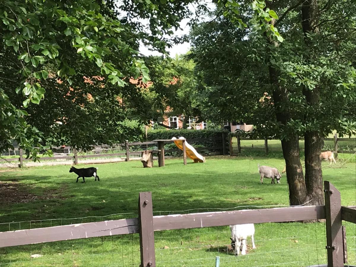 Familiehuis Boysen Appartementen Ribe Esterno foto
