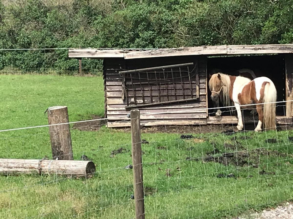 Familiehuis Boysen Appartementen Ribe Esterno foto
