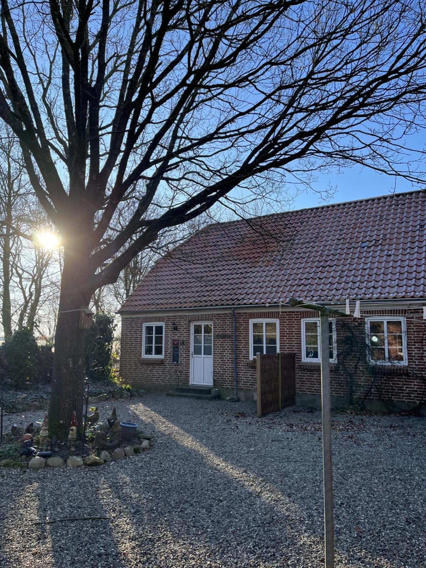 Familiehuis Boysen Appartementen Ribe Esterno foto