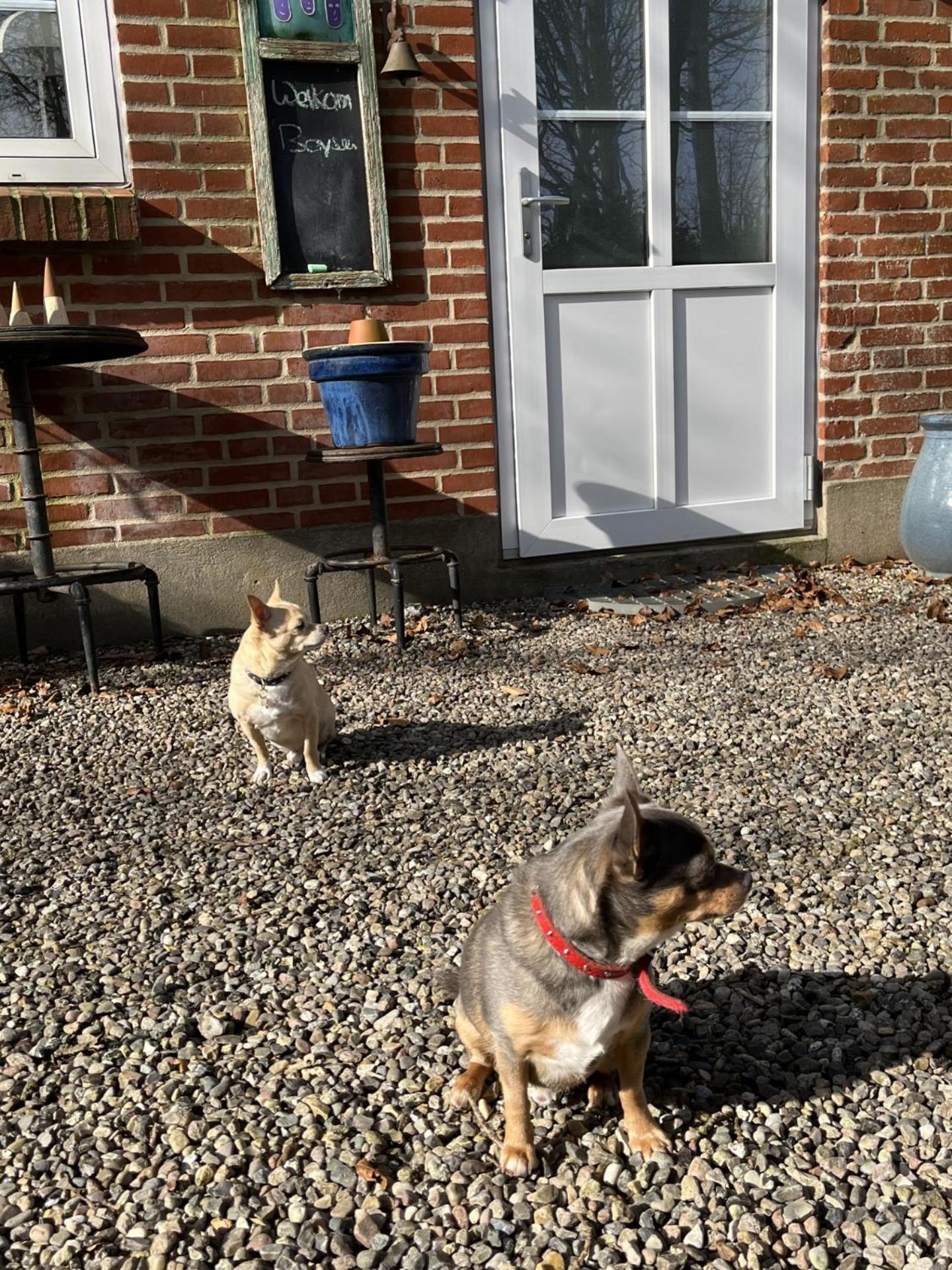 Familiehuis Boysen Appartementen Ribe Esterno foto